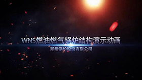 WNS燃油燃?xì)忮仩t結(jié)構(gòu)演示動(dòng)畫(huà)