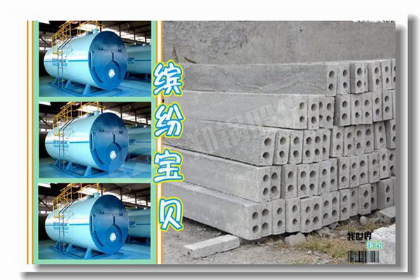瑞麗市生物質(zhì)蒸汽鍋爐哪個品牌專業(yè)？